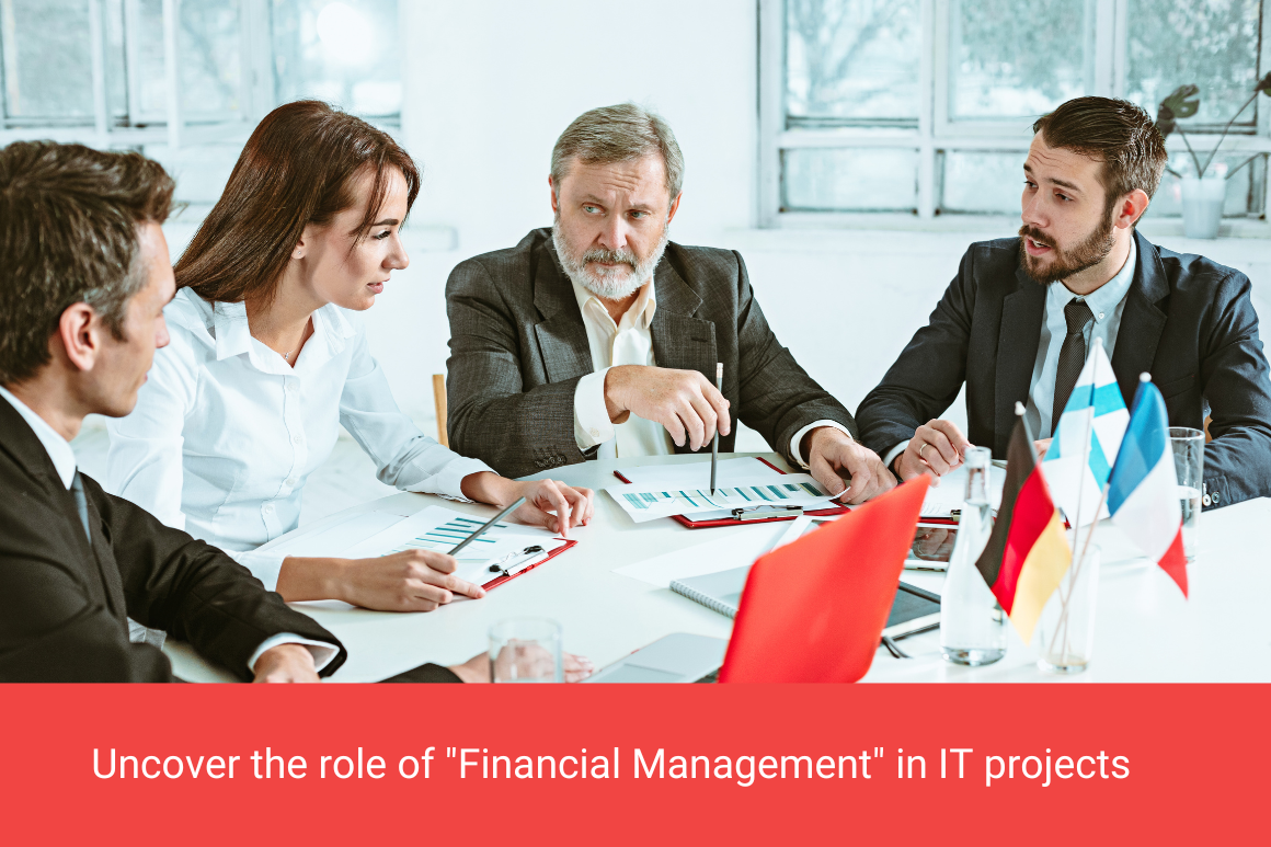 Financial Management for IT Directors: Balancing Budgets and Innovation ...